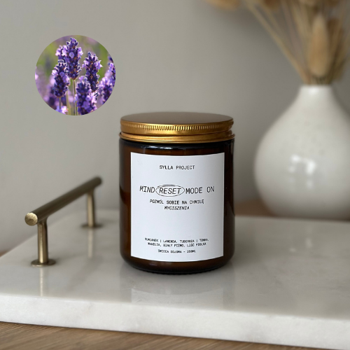 Mind Reset Mode On – Świeca Sojowa 250 ml