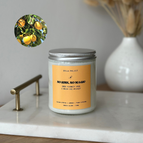 No Risk, No Magic – Świeca Sojowa w Szkle 250 ml